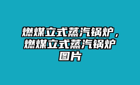 燃煤立式蒸汽鍋爐，燃煤立式蒸汽鍋爐圖片