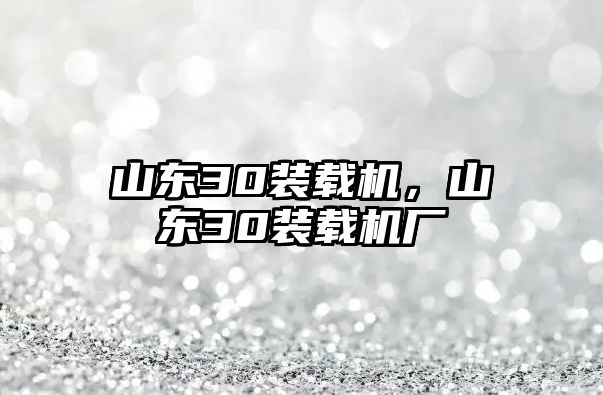 山東30裝載機，山東30裝載機廠