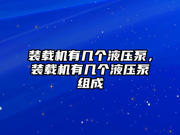 裝載機(jī)有幾個(gè)液壓泵，裝載機(jī)有幾個(gè)液壓泵組成