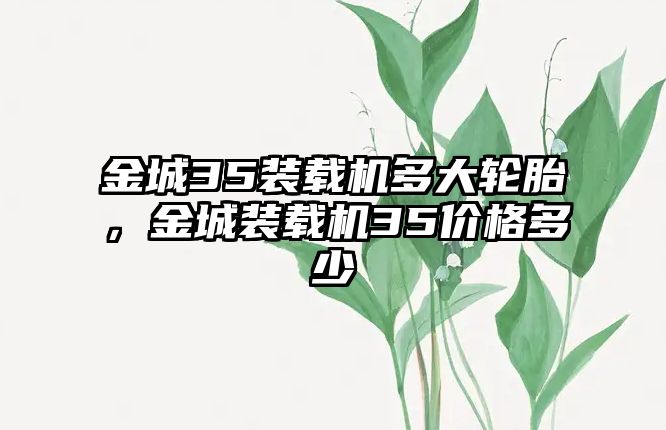 金城35裝載機多大輪胎，金城裝載機35價格多少