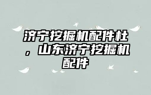 濟(jì)寧挖掘機(jī)配件杜，山東濟(jì)寧挖掘機(jī)配件