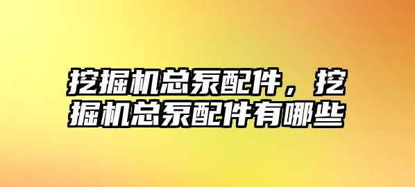 挖掘機總泵配件，挖掘機總泵配件有哪些