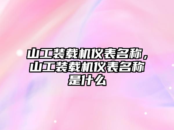 山工裝載機儀表名稱，山工裝載機儀表名稱是什么