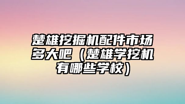 楚雄挖掘機配件市場多大吧（楚雄學挖機有哪些學校）