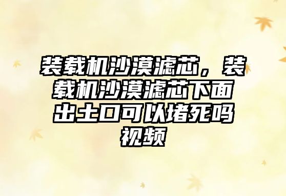 裝載機沙漠濾芯，裝載機沙漠濾芯下面出土口可以堵死嗎視頻