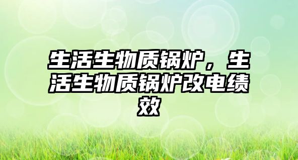 生活生物質(zhì)鍋爐，生活生物質(zhì)鍋爐改電績效