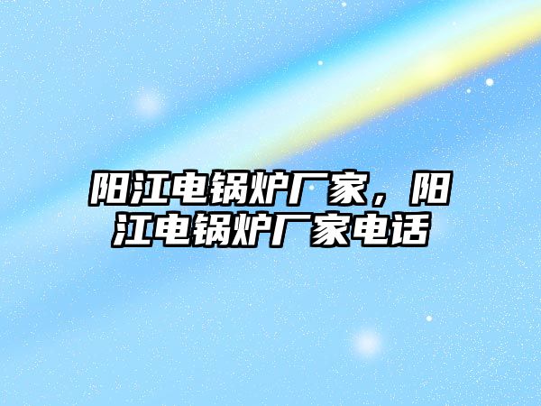 陽江電鍋爐廠家，陽江電鍋爐廠家電話