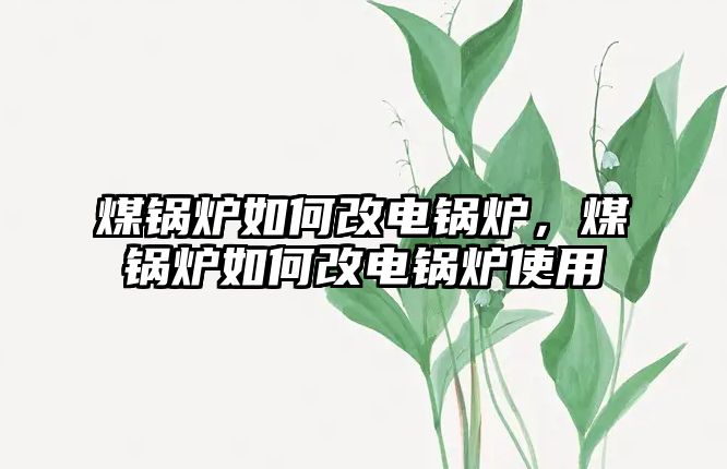 煤鍋爐如何改電鍋爐，煤鍋爐如何改電鍋爐使用