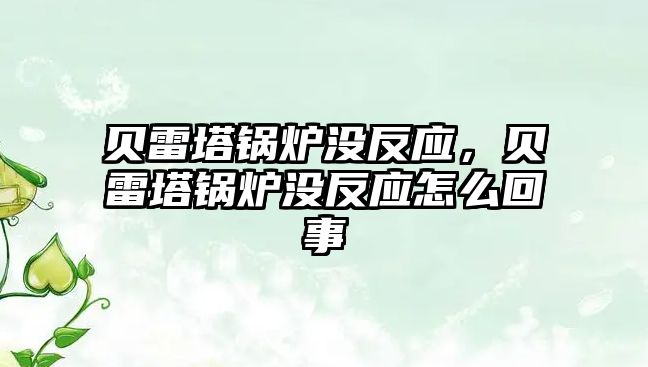 貝雷塔鍋爐沒反應(yīng)，貝雷塔鍋爐沒反應(yīng)怎么回事