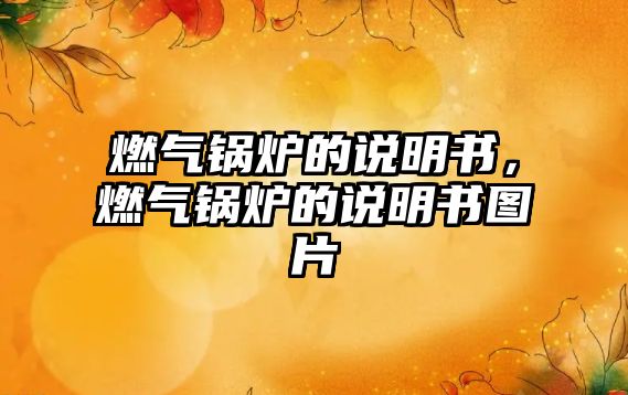 燃氣鍋爐的說明書，燃氣鍋爐的說明書圖片