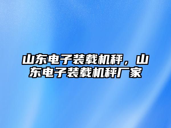 山東電子裝載機秤，山東電子裝載機秤廠家