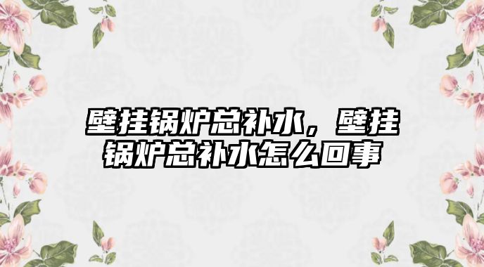 壁掛鍋爐總補水，壁掛鍋爐總補水怎么回事