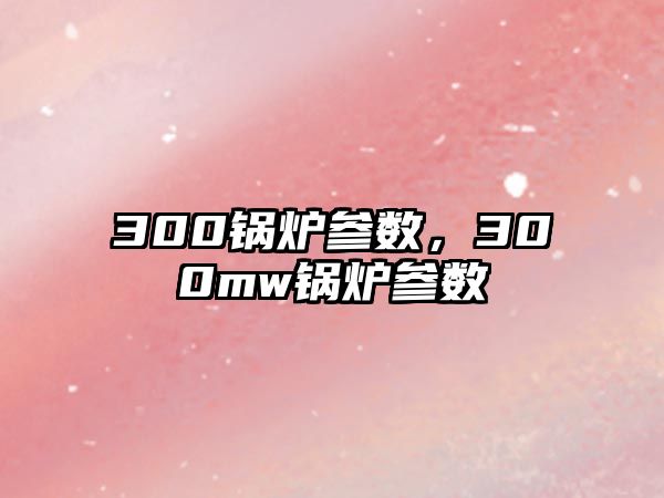 300鍋爐參數(shù)，300mw鍋爐參數(shù)