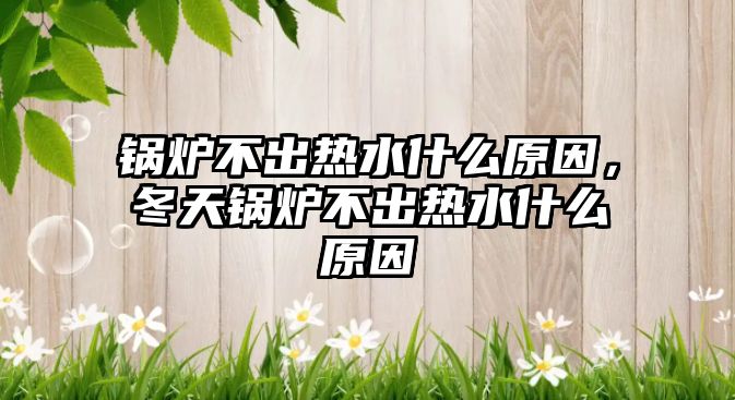 鍋爐不出熱水什么原因，冬天鍋爐不出熱水什么原因