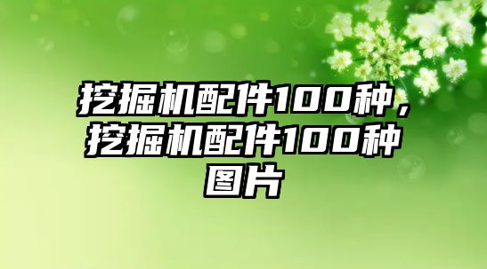 挖掘機(jī)配件100種，挖掘機(jī)配件100種圖片