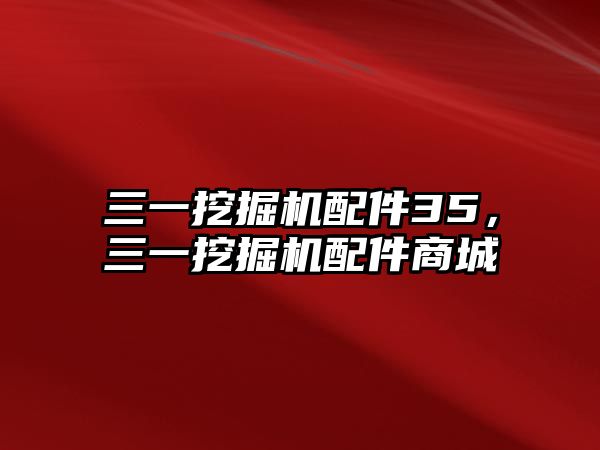 三一挖掘機(jī)配件35，三一挖掘機(jī)配件商城