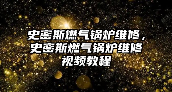 史密斯燃?xì)忮仩t維修，史密斯燃?xì)忮仩t維修視頻教程