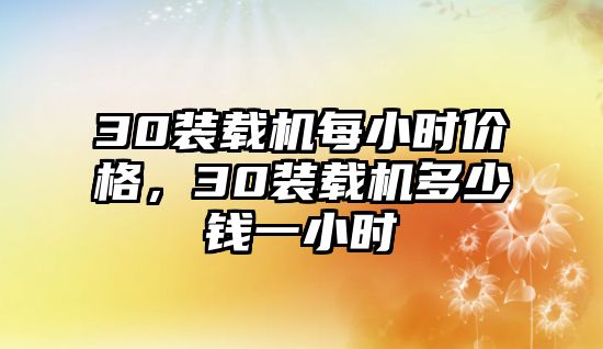 30裝載機每小時價格，30裝載機多少錢一小時