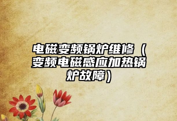 電磁變頻鍋爐維修（變頻電磁感應(yīng)加熱鍋爐故障）