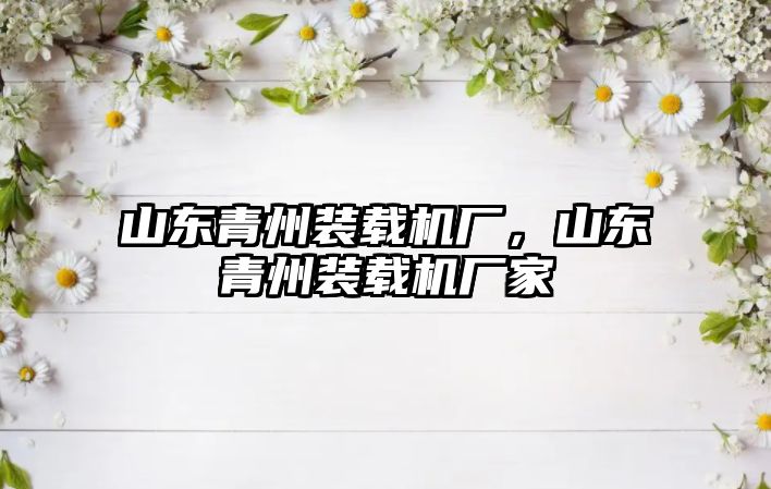 山東青州裝載機廠，山東青州裝載機廠家