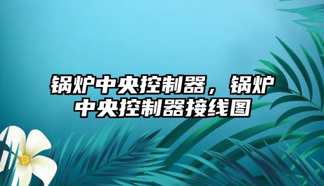 鍋爐中央控制器，鍋爐中央控制器接線圖