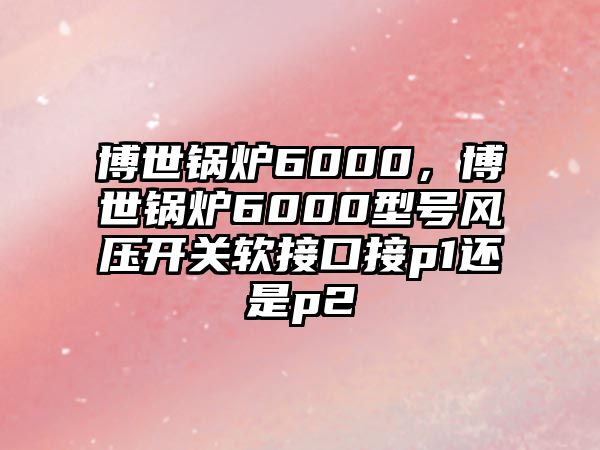 博世鍋爐6000，博世鍋爐6000型號(hào)風(fēng)壓開關(guān)軟接口接p1還是p2