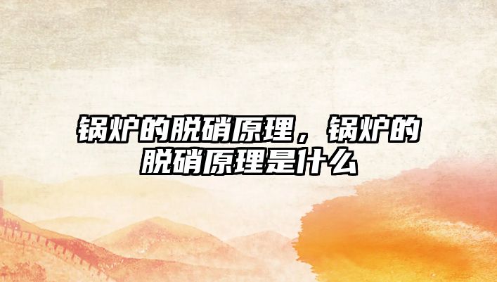 鍋爐的脫硝原理，鍋爐的脫硝原理是什么