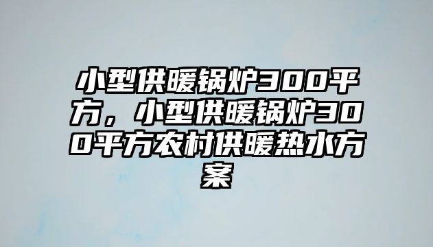 小型供暖鍋爐300平方，小型供暖鍋爐300平方農(nóng)村供暖熱水方案