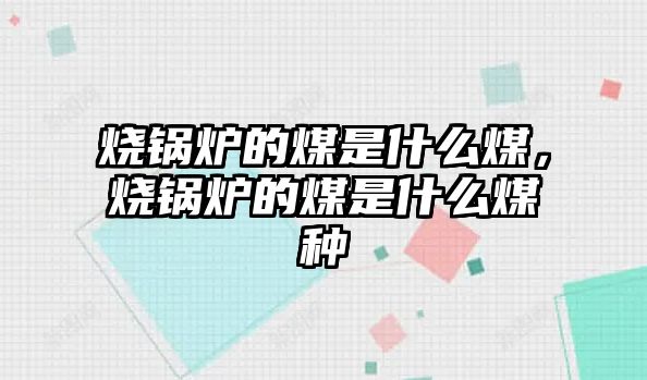 燒鍋爐的煤是什么煤，燒鍋爐的煤是什么煤種