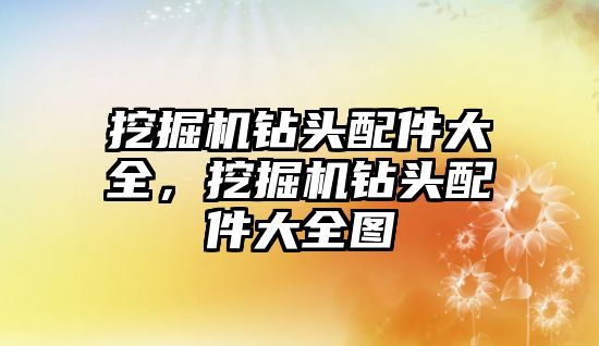 挖掘機鉆頭配件大全，挖掘機鉆頭配件大全圖