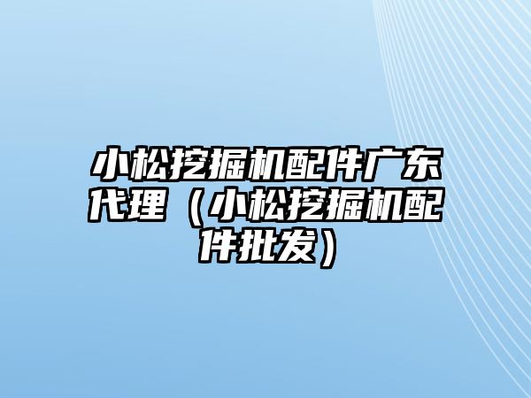 小松挖掘機(jī)配件廣東代理（小松挖掘機(jī)配件批發(fā)）