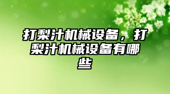 打梨汁機械設(shè)備，打梨汁機械設(shè)備有哪些