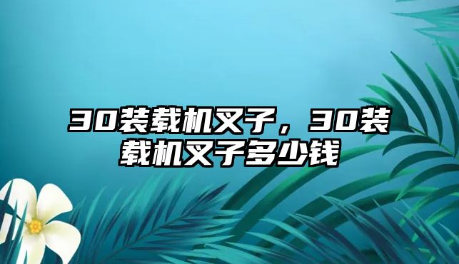 30裝載機叉子，30裝載機叉子多少錢