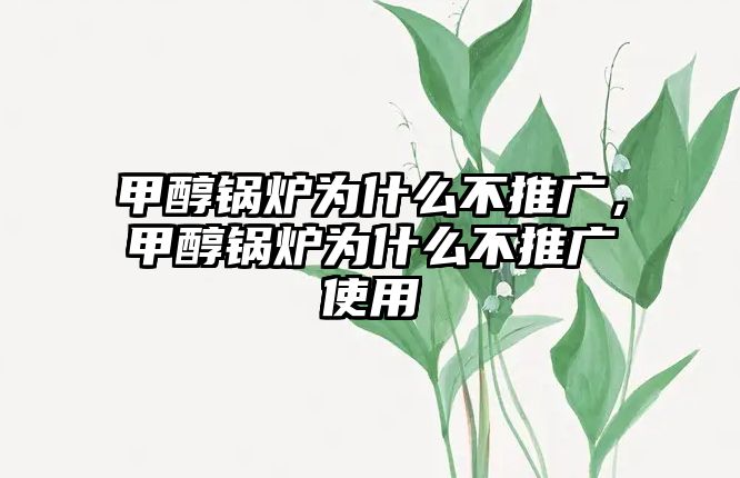 甲醇鍋爐為什么不推廣，甲醇鍋爐為什么不推廣使用