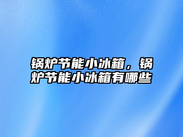 鍋爐節(jié)能小冰箱，鍋爐節(jié)能小冰箱有哪些