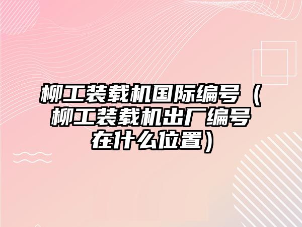 柳工裝載機(jī)國際編號（柳工裝載機(jī)出廠編號在什么位置）