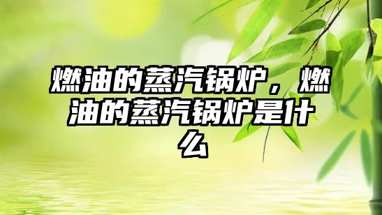 燃油的蒸汽鍋爐，燃油的蒸汽鍋爐是什么