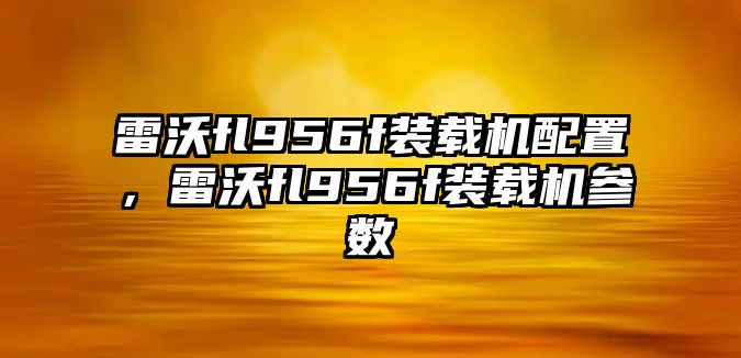 雷沃fl956f裝載機(jī)配置，雷沃fl956f裝載機(jī)參數(shù)