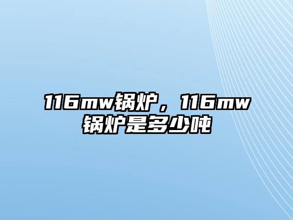 116mw鍋爐，116mw鍋爐是多少噸