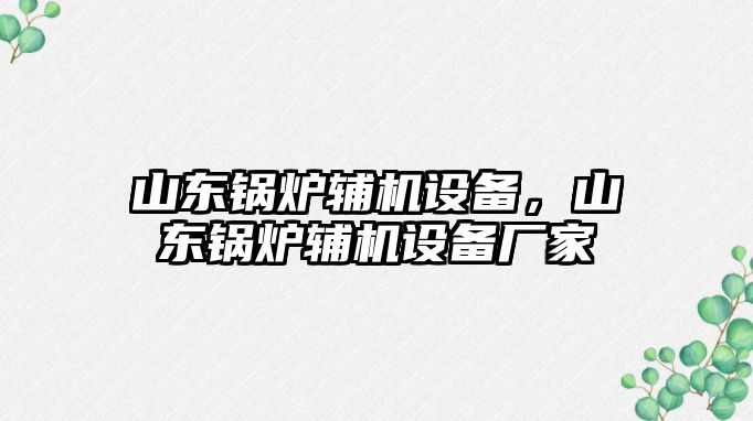 山東鍋爐輔機設備，山東鍋爐輔機設備廠家