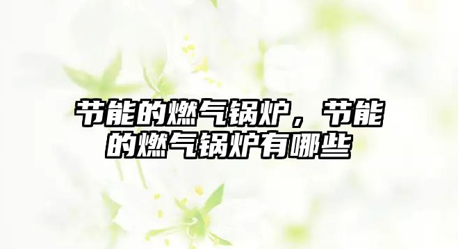 節(jié)能的燃?xì)忮仩t，節(jié)能的燃?xì)忮仩t有哪些