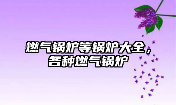 燃?xì)忮仩t等鍋爐大全，各種燃?xì)忮仩t