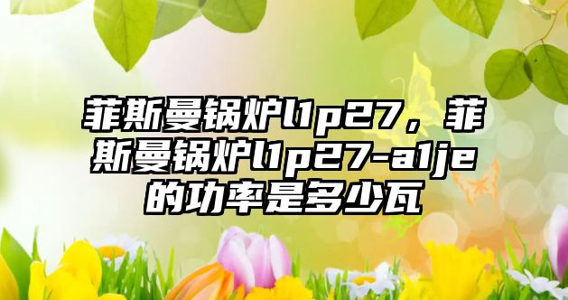 菲斯曼鍋爐l1p27，菲斯曼鍋爐l1p27-a1je的功率是多少瓦