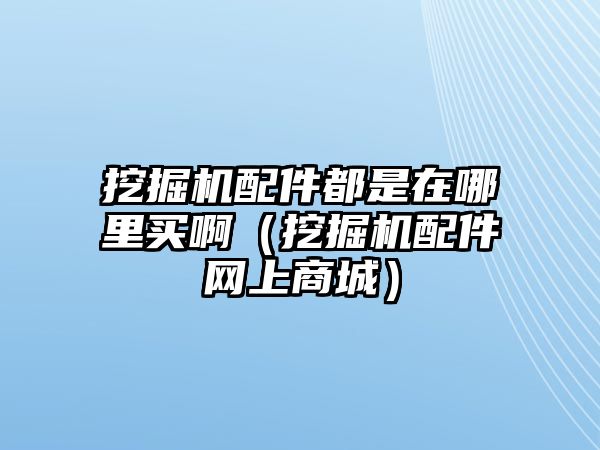 挖掘機(jī)配件都是在哪里買?。ㄍ诰驒C(jī)配件網(wǎng)上商城）