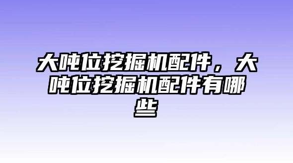 大噸位挖掘機(jī)配件，大噸位挖掘機(jī)配件有哪些