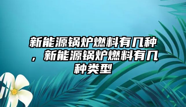 新能源鍋爐燃料有幾種，新能源鍋爐燃料有幾種類型