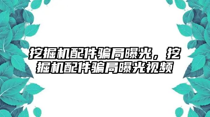 挖掘機配件騙局曝光，挖掘機配件騙局曝光視頻