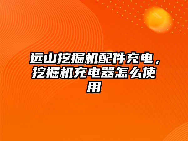 遠山挖掘機配件充電，挖掘機充電器怎么使用