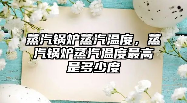 蒸汽鍋爐蒸汽溫度，蒸汽鍋爐蒸汽溫度最高是多少度