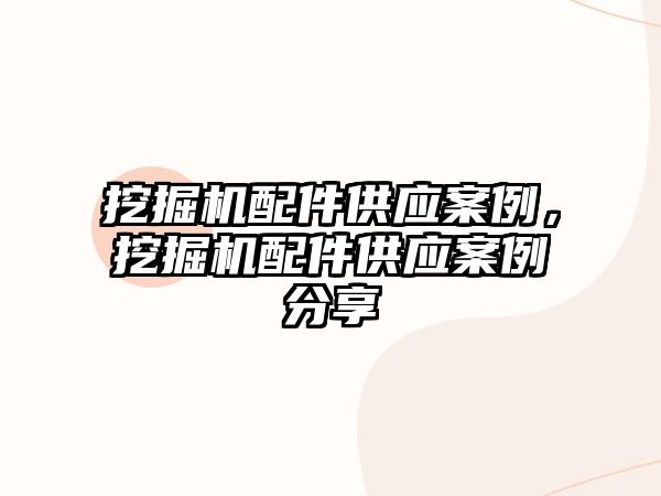 挖掘機配件供應(yīng)案例，挖掘機配件供應(yīng)案例分享